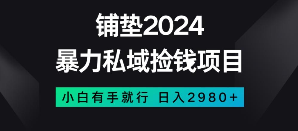 暴力私域捡钱项目，小白无脑操作，日入2980【揭秘】-桀创项目掘金社