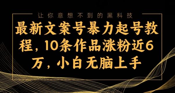 最新文案号暴力起号教程，10条作品涨粉近6万，小白无脑上手-桀创项目掘金社