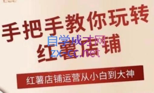 海燕老师·2024手把手教你玩转红薯店铺-桀创项目掘金社