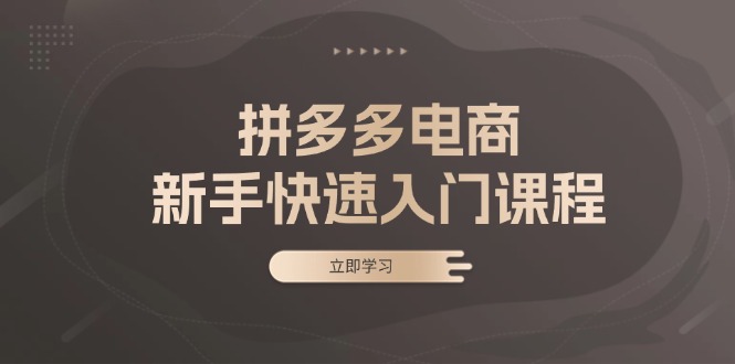 拼多多电商新手快速入门课程：涵盖基础、实战与选款，助力小白轻松上手-桀创项目掘金社