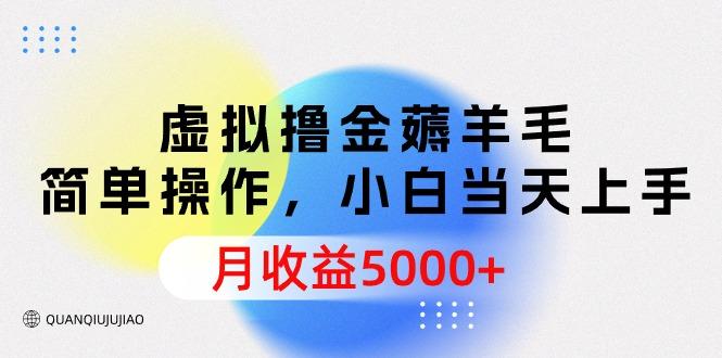 (9864期)虚拟撸金薅羊毛，简单操作，小白当天上手，月收益5000+-桀创项目掘金社