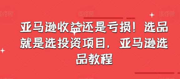 亚马逊收益还是亏损！选品就是选投资项目，亚马逊选品教程-桀创项目掘金社