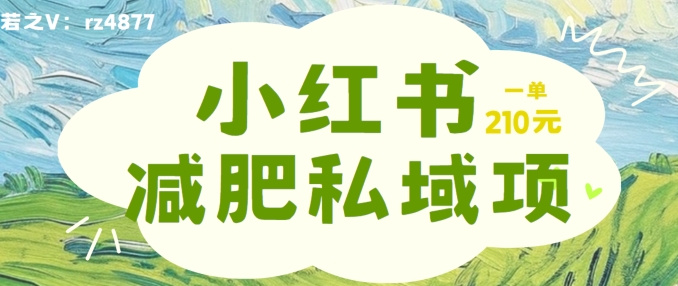 小红书减肥粉，私域变现项目，一单就达210元，小白也能轻松上手【揭秘】-桀创项目掘金社