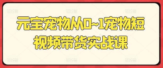 元宝宠物从0~1宠物短视频带货实战课-桀创项目掘金社