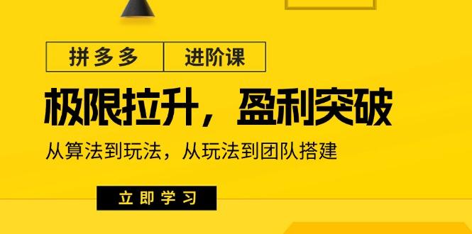 拼多多·进阶课：极限拉升/盈利突破：从算法到玩法 从玩法到团队搭建-18节-桀创项目掘金社