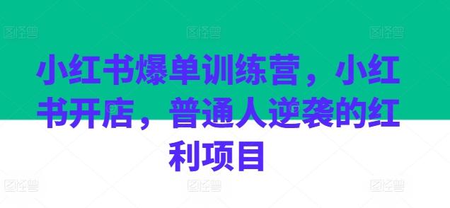 小红书爆单训练营，小红书开店，普通人逆袭的红利项目-桀创项目掘金社