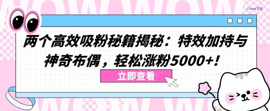 两个高效吸粉秘籍揭秘：特效加持与神奇布偶，轻松涨粉5000+【揭秘】-桀创项目掘金社