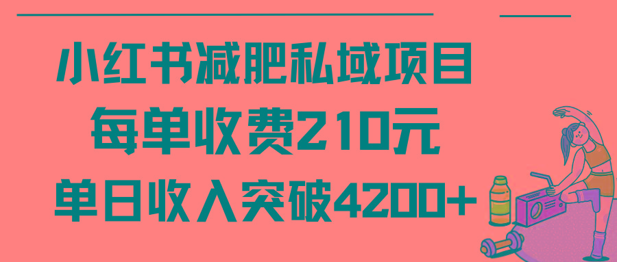 (9466期)小红书减肥私域项目每单收费210元单日成交20单，最高日入4200+-桀创项目掘金社