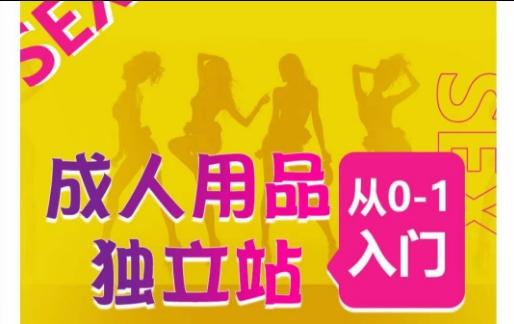 成人用品独立站从0-1入门，成品独立站运营全流程教学，七大好卖成品独立站推荐-桀创项目掘金社