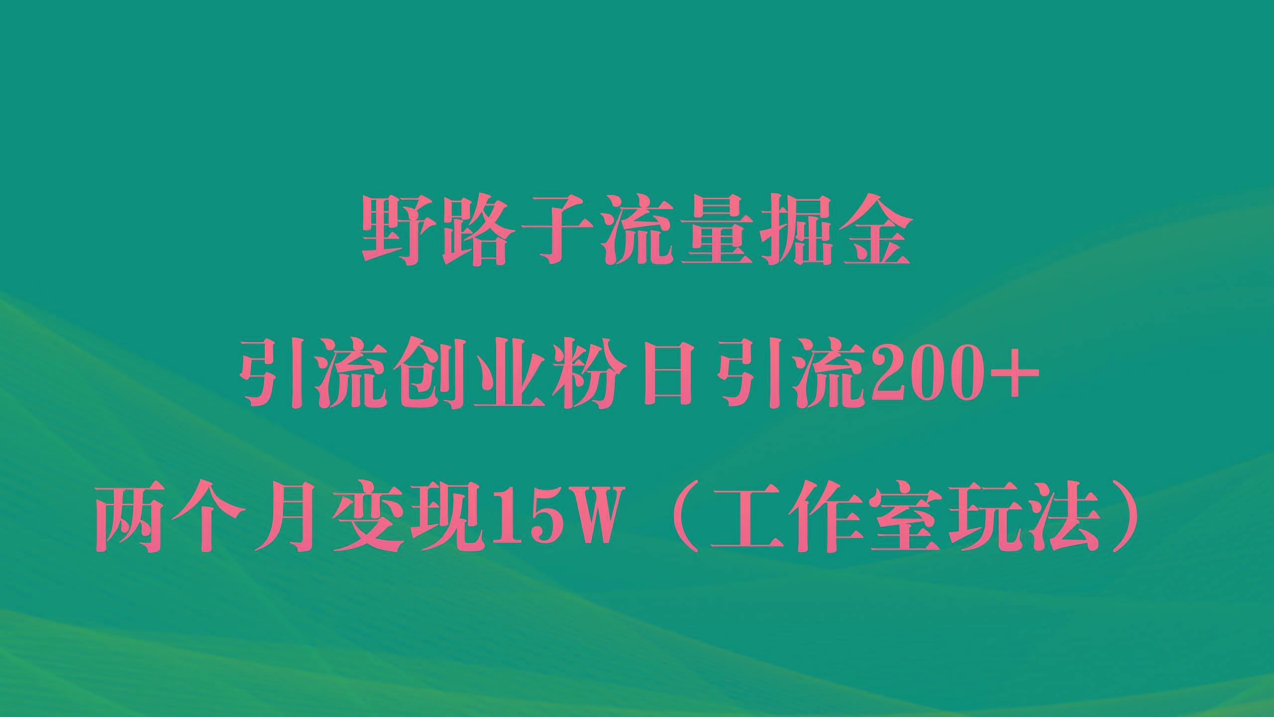 (9513期)野路子流量掘金，引流创业粉日引流200+，两个月变现15W(工作室玩法))-桀创项目掘金社