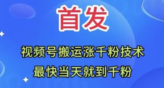 全网首发：视频号无脑搬运涨千粉技术，最快当天到千粉【揭秘】-桀创项目掘金社