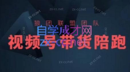 狼团联盟·2024视频号带货-桀创项目掘金社