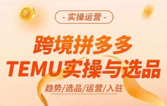 跨境拼多多TEMU实操与选品，多多temu跨境选品运营实操-桀创项目掘金社