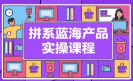 拼系冷门蓝海产品实操课程，从注册店铺到选品上架到流量维护环环相扣-桀创项目掘金社