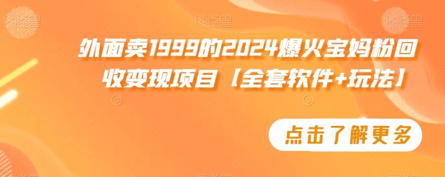 外面卖1999的2024爆火宝妈粉回收变现项目【全套软件+玩法】【揭秘】-桀创项目掘金社