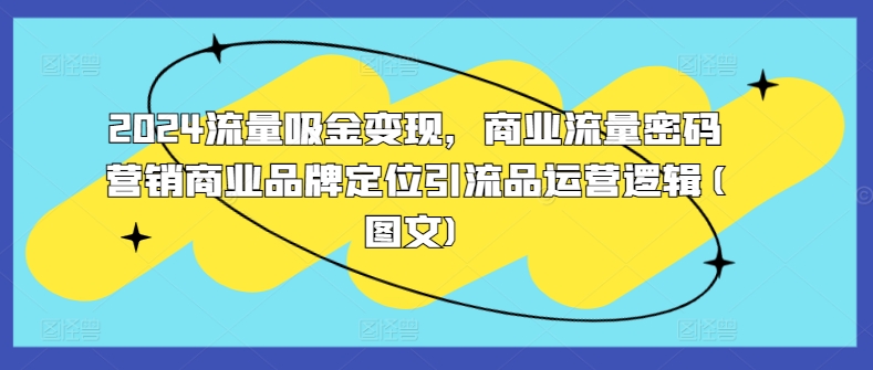 2024流量吸金变现，商业流量密码营销商业品牌定位引流品运营逻辑(图文)-桀创项目掘金社