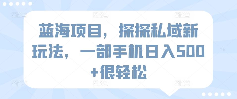 蓝海项目，探探私域新玩法，一部手机日入500+很轻松【揭秘】-桀创项目掘金社