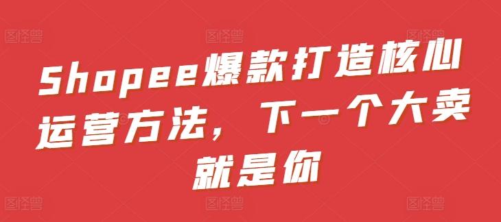 Shopee爆款打造核心运营方法，下一个大卖就是你-桀创项目掘金社