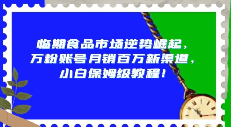 临期食品市场逆势崛起，万粉账号月销百万新渠道，小白保姆级教程【揭秘】-桀创项目掘金社