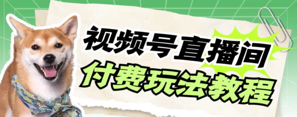 视频号美女付费无人直播，轻松日入500+【详细玩法教程】-桀创项目掘金社