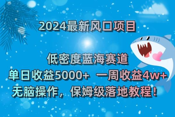 (8545期)2024最新风口项目 低密度蓝海赛道，日收益5000+周收益4w+ 无脑操作，保…-桀创项目掘金社