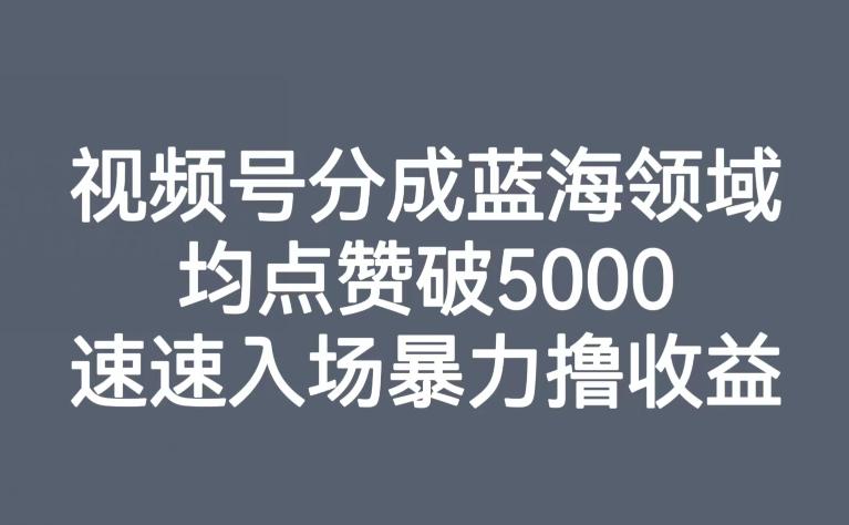 视频号分成蓝海领域，均点赞破5000，速速入场暴力撸收益-桀创项目掘金社