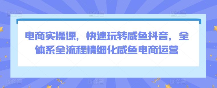 电商实操课，快速玩转咸鱼抖音，全体系全流程精细化咸鱼电商运营-桀创项目掘金社