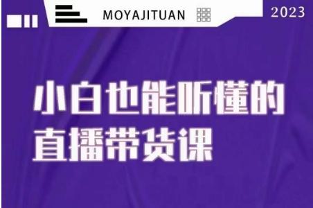 大威本威·能听懂的直播带货课，小白也能听懂，20节完整-桀创项目掘金社
