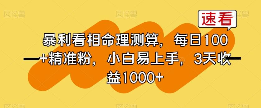 暴利看相命理测算，每日100+精准粉，小白易上手，3天收益1000+【揭秘】-桀创项目掘金社
