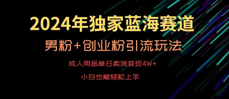 2024年独家蓝海赛道，成人用品单日卖货变现4W+，男粉+创业粉引流玩法，不愁搞不到流量【揭秘】-桀创项目掘金社