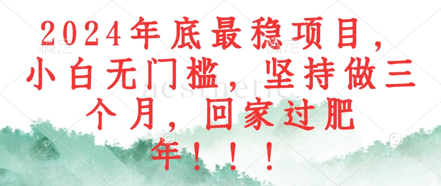 2024年底最稳项目，小白无门槛，坚持做三个月，回家过肥年！！！-桀创项目掘金社