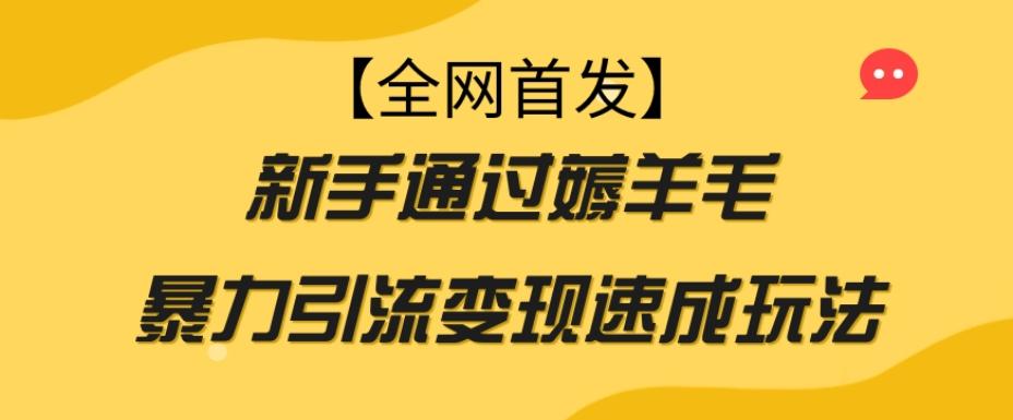 【全网首发】新手通过薅羊毛暴力引流变现速成玩法-桀创项目掘金社