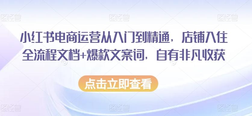 小红书电商运营从入门到精通，店铺入住全流程文档+爆款文案词，自有非凡收获-桀创项目掘金社