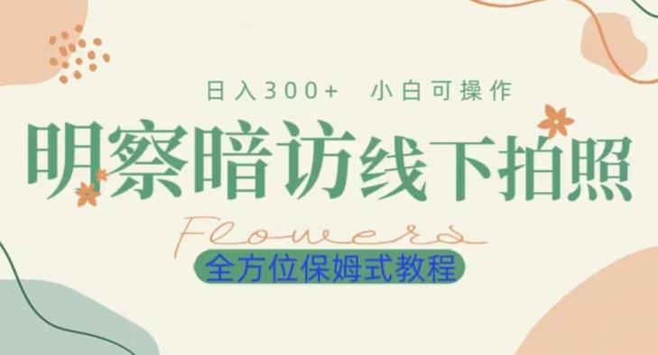 明拍暗拍项目0成本投入日入300+小白可操作保姆式全方位教程-桀创项目掘金社