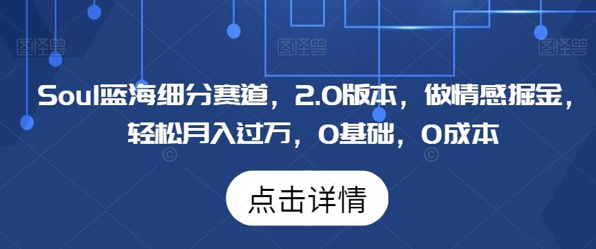 Soul蓝海细分赛道，2.0版本，做情感掘金，轻松月入过万，0基础，0成本-桀创项目掘金社