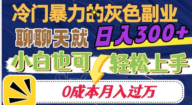 冷门暴利的副业项目，聊聊天就能日入300+，0成本月入过万【揭秘】-桀创项目掘金社