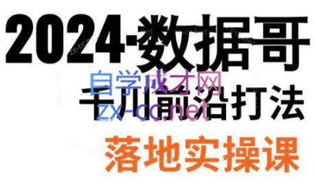 数据哥·2024年千川前沿打法落地实操课-桀创项目掘金社