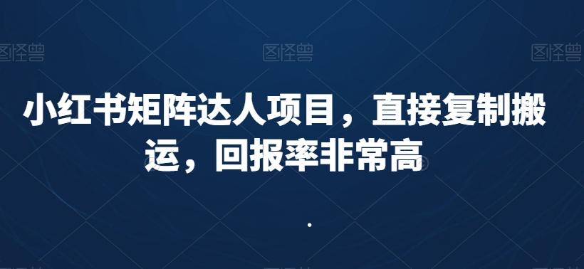 小红书矩阵达人项目，直接复制搬运，回报率非常高-桀创项目掘金社