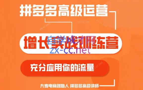 大麦老师·拼多多单品爆款打造课程(更新6月)-桀创项目掘金社