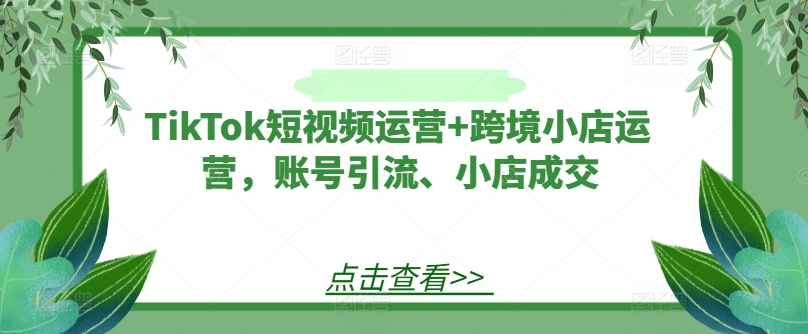 TikTok短视频运营+跨境小店运营，账号引流、小店成交-桀创项目掘金社