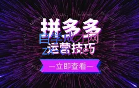 力辛电商·拼多多强付费店群玩法-桀创项目掘金社