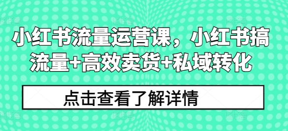 小红书流量运营课，小红书搞流量+高效卖货+私域转化-桀创项目掘金社