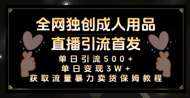 全网独创真人主播+无人直播单日引流500+，橙人用品暴力卖货单日变现3W+保姆似教学2.0【揭秘】-桀创项目掘金社