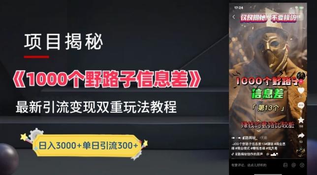 一千个野路子信息差最新玩法教程-变现+引流的玩法具体拆解【揭秘】-桀创项目掘金社