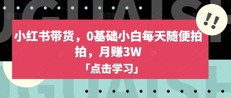 小红书带货，0基础小白每天随便拍拍，月赚3W【揭秘】-桀创项目掘金社
