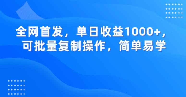全网首发，单日收益1000+，可批量复制操作，简单易学【揭秘】-桀创项目掘金社