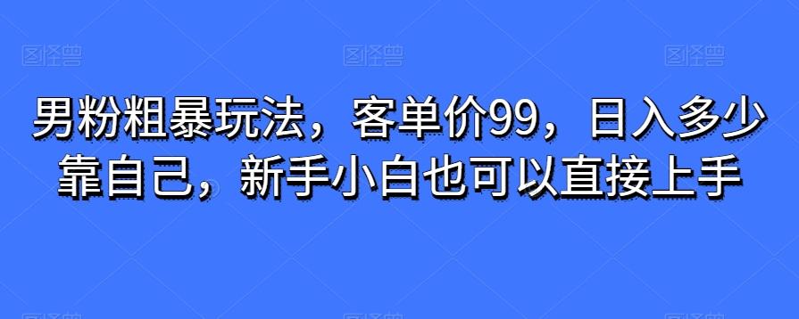 男粉粗暴玩法，客单价99，日入多少靠自己，新手小白也可以直接上手-桀创项目掘金社