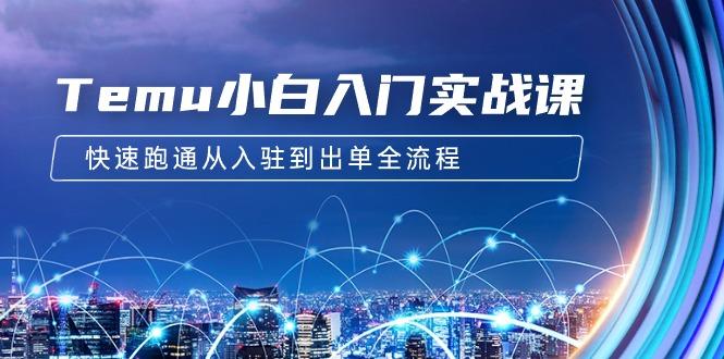 (9295期)Temu小白入门实战课：跨境拼多多电商培训 快速跑通从入驻到出单全流程-12节-桀创项目掘金社