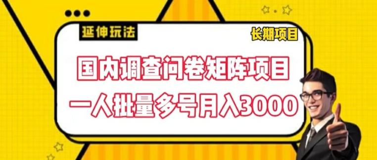 国内调查问卷矩阵项目，一人批量多号月入3000【揭秘】-桀创项目掘金社
