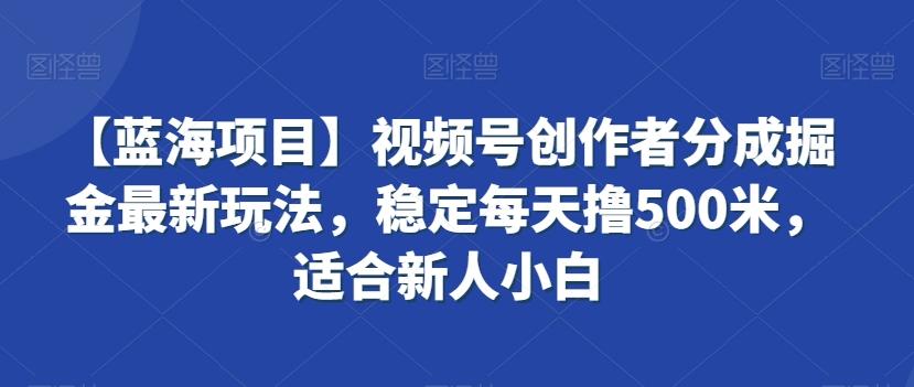 【蓝海项目】视频号创作者分成掘金最新玩法，稳定每天撸500米，适合新人小白【揭秘】-桀创项目掘金社